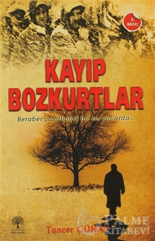 resm Kayıp Bozkurtlar