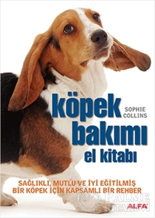 Resim Köpek Bakımı