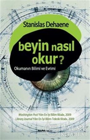 Resim Beyin Nasıl Okunur?