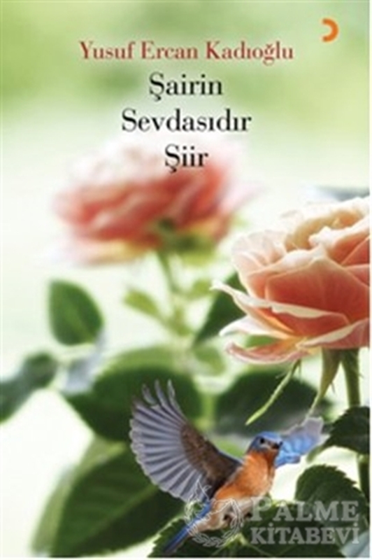 resm Şairin Sevdasıdır Şiir