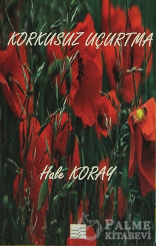 resm Korkusuz Uçurtma