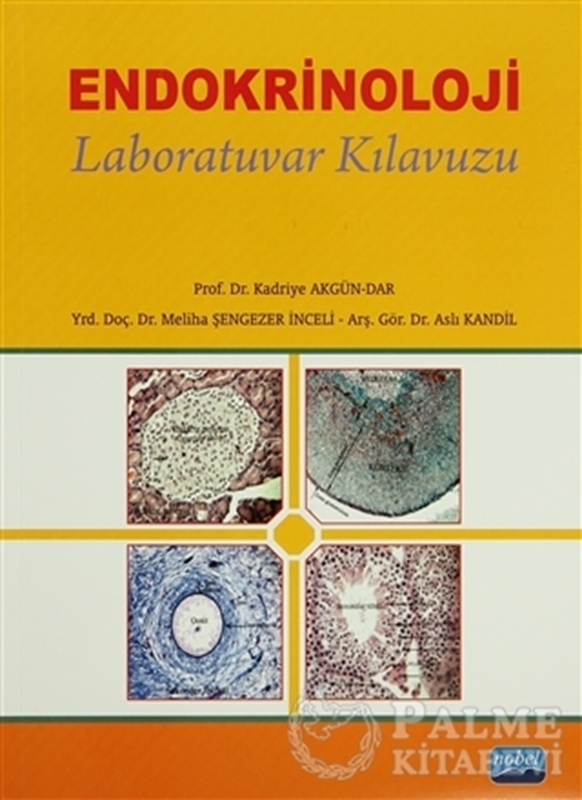 resm Endokrinoloji