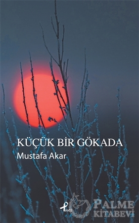 Resim Küçük Bir Gökada