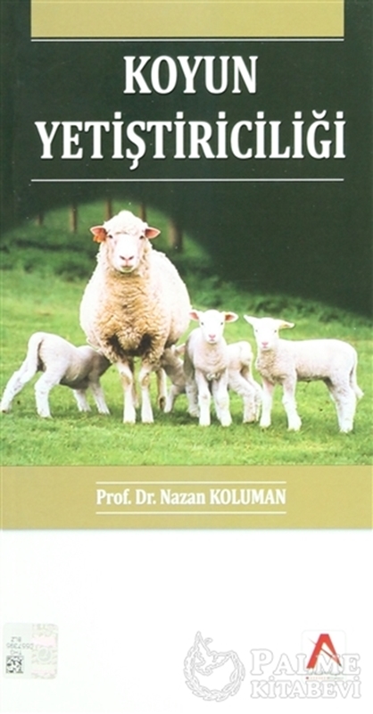 resm Koyun Yetiştiriciliği