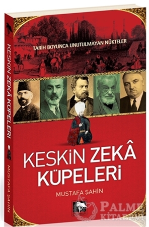 Resim Keskin Zeka Küpleri