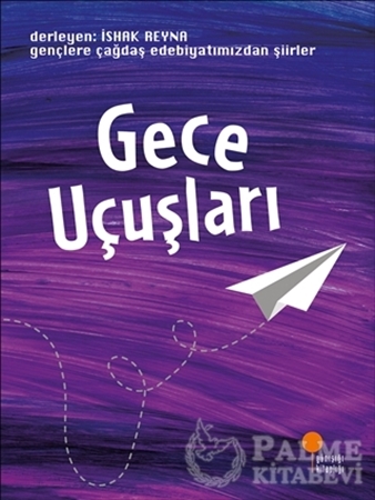 Resim Gece Uçuşları