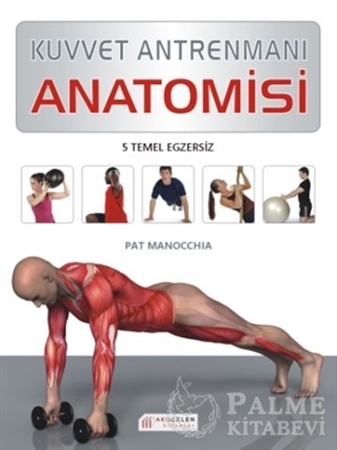 Resim Kuvvet Antrenmanı Anatomisi