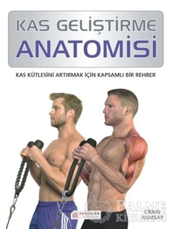 Resim Kas Geliştirme Anatomisi