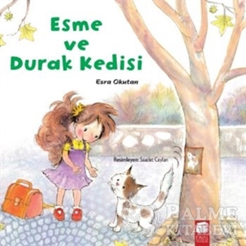 resm Esme ve Durak Kedisi