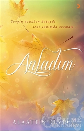 Resim Anladım