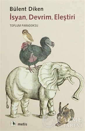 Resim İsyan, Devrim, Eleştiri