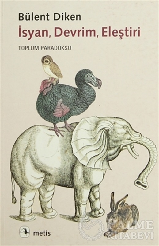 resm İsyan, Devrim, Eleştiri