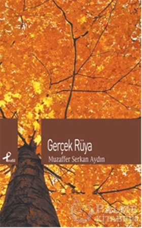 Resim Gerçek Rüya