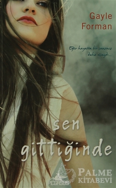 resm Sen Gittiğinde