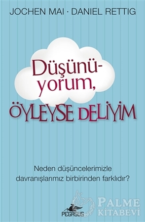 Resim Düşünü-yorum, Öyleyse Deliyim