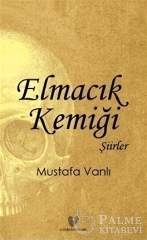 resm Elmacık Kemiği