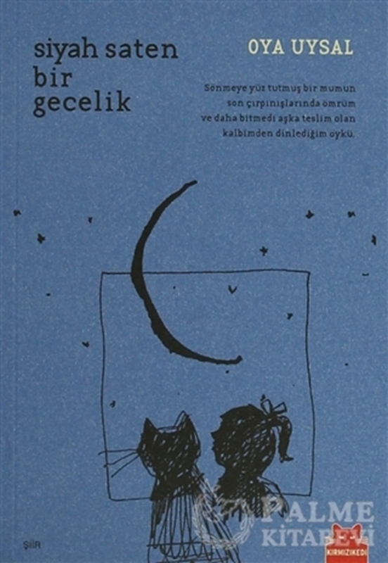 resm Siyah Saten Bir Gecelik