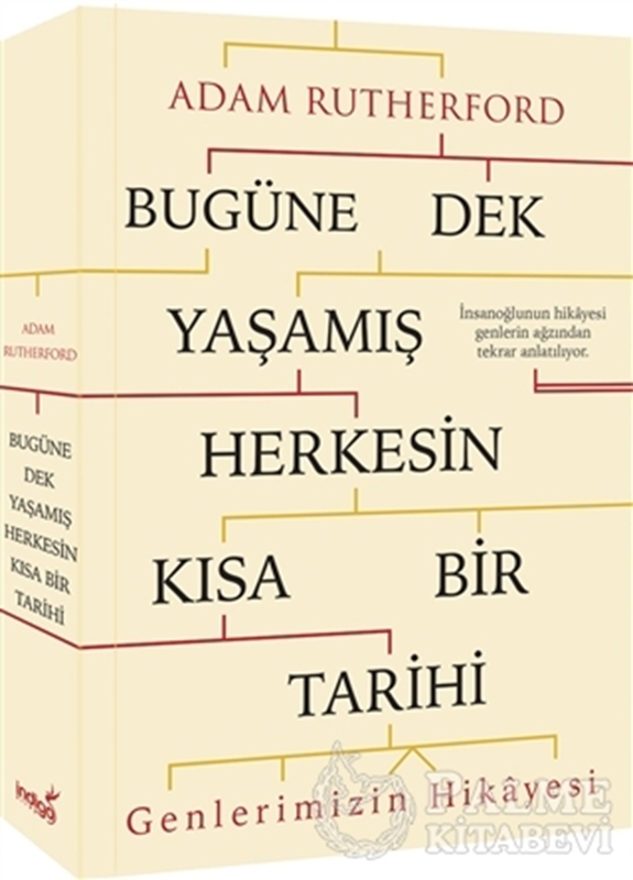 resm Bugüne Dek Yaşamış Herkesin Kısa Bir Tarihi