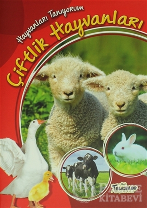 resm Hayvanları Tanıyorum - Çiftlik Hayvanları