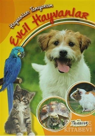 Resim Hayvanları Tanıyorum - Evcil Hayvanlar