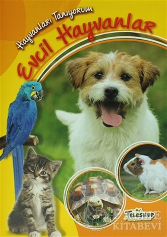 resm Hayvanları Tanıyorum - Evcil Hayvanlar