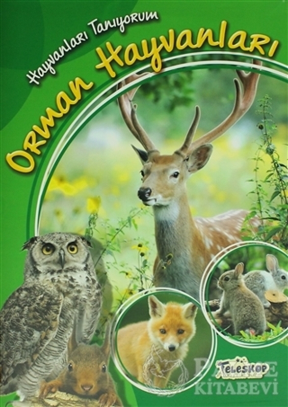 resm Hayvanları Tanıyorum - Orman Hayvanları