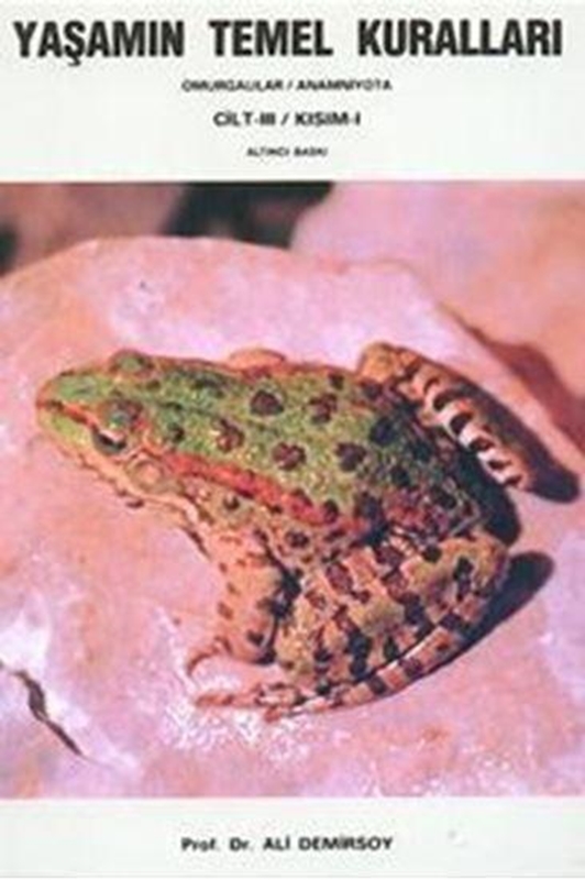 resm Yaşamın Temel Kuralları Cilt 3 - Kısım 1