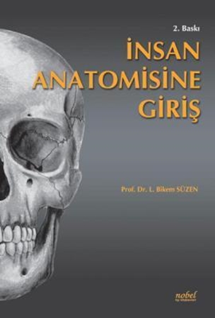Resim İnsan Anatomisine Giriş