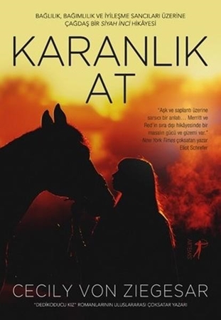 Resim Karanlık At