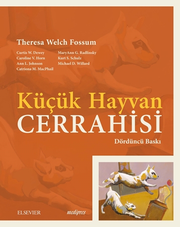 Resim Küçük Hayvan Cerrahisi