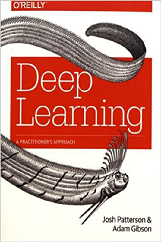 resm Deep Learning