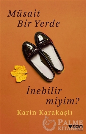 Resim Müsait Bir Yerde İnebilir Miyim?
