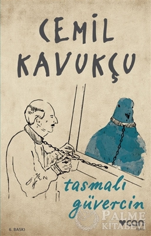 resm Tasmalı Güvercin