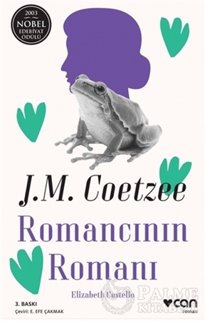 Resim Romancının Romanı