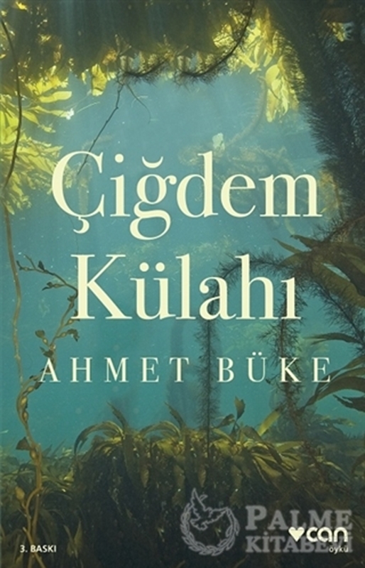 resm Çiğdem Külahı