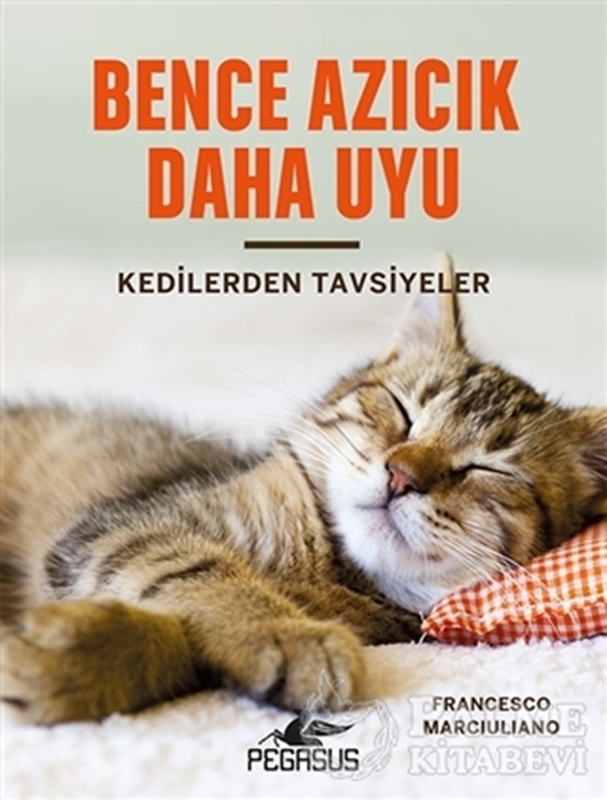 resm Bence Azıcık Daha Uyu - Kedilerden Tavsiyeler
