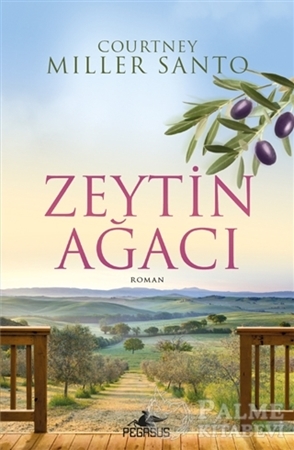 Resim Zeytin Ağacı