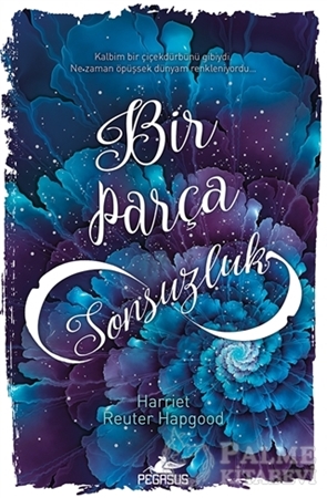 Resim Bir Parça Sonsuzluk (Ciltli)