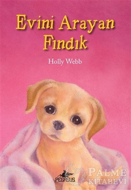 resm Evini Arayan Fındık