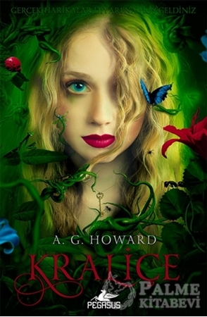 Resim Kraliçe (Ciltli)