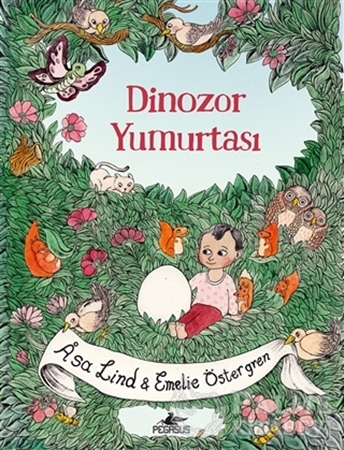 Resim Dinozor Yumurtası
