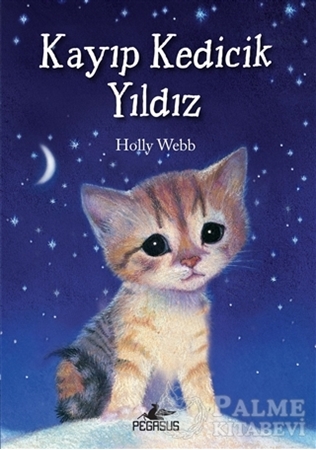 Resim Kayıp Kedicik Yıldız