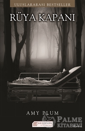 Resim Rüya Kapanı