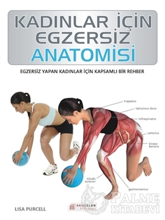 Resim Kadınlar İçin Egzersiz Anatomisi