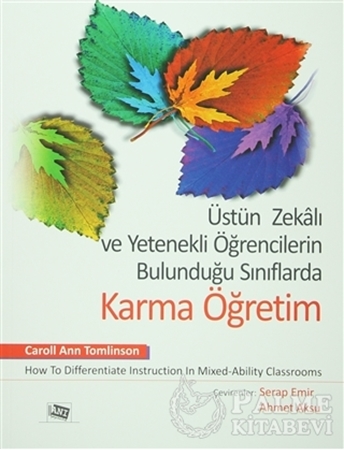 Resim Üstün Zekalı ve Yetenekli Öğrencilerin Bulunduğu Sınıflarda Karma Öğretim