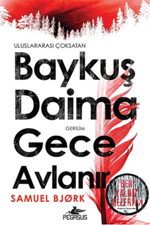 Resim Baykuş Daima Gece Avlanır