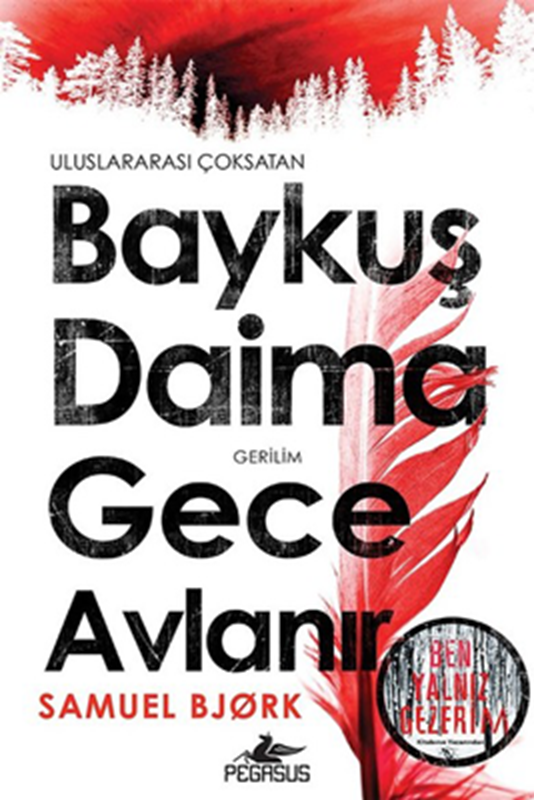 resm Baykuş Daima Gece Avlanır
