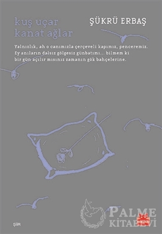 resm Kuş Uçar Kanat Ağlar