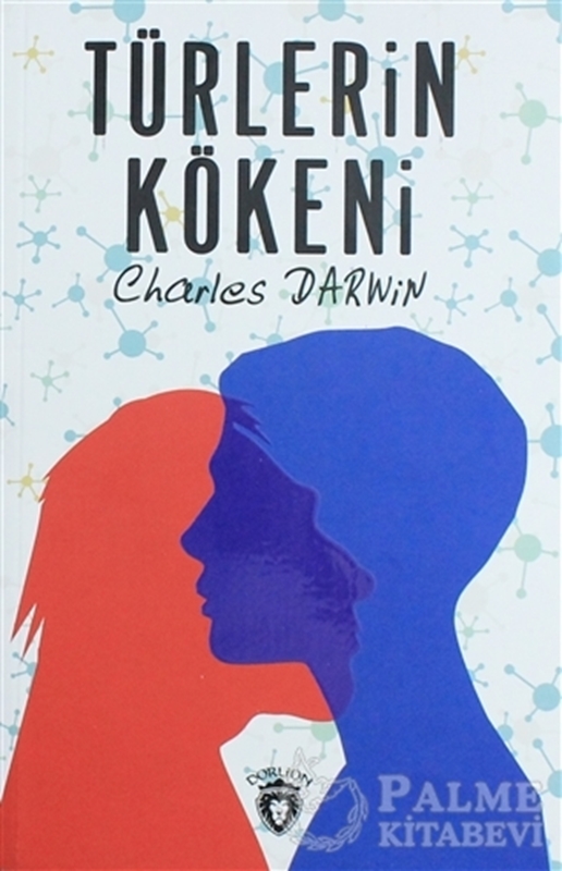 resm Türlerin Kökeni