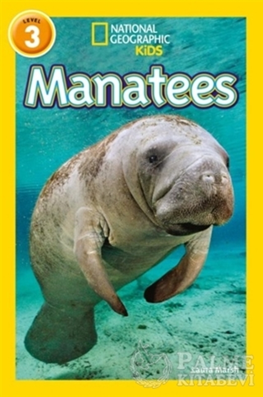 resm Manatees (Readers 3)